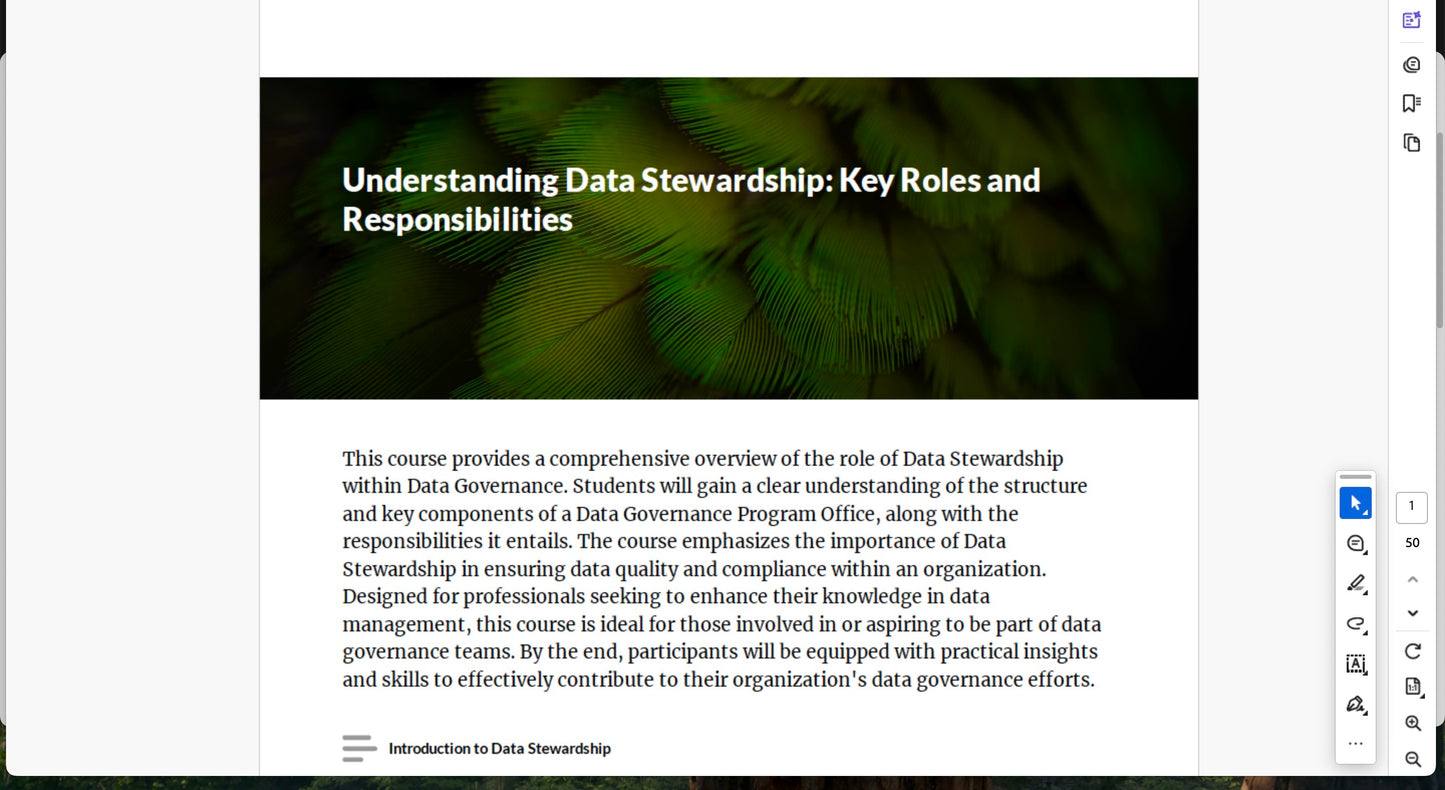 Understanding Data Stewardship: Key Roles and Responsibilities