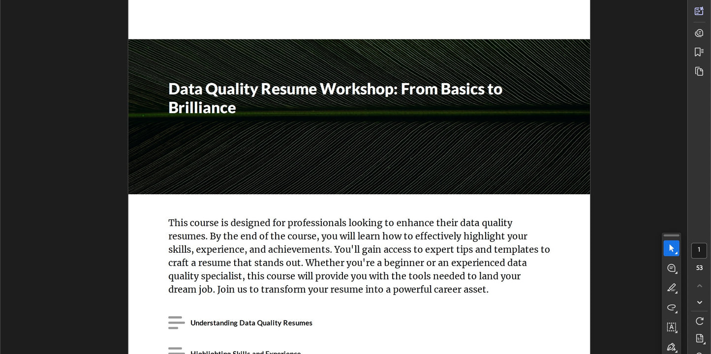 Data Quality Resume Workshop: From Basics to Brilliance