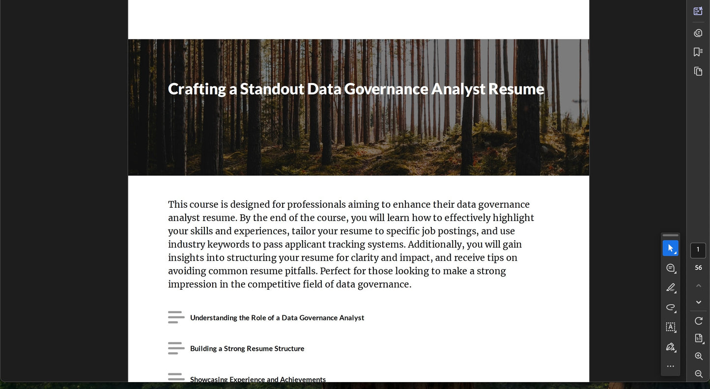 Crafting a Standout Data Governance Analyst Resume