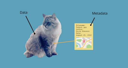 Metadata Management Essentials: Sources, Creation, and Implementation